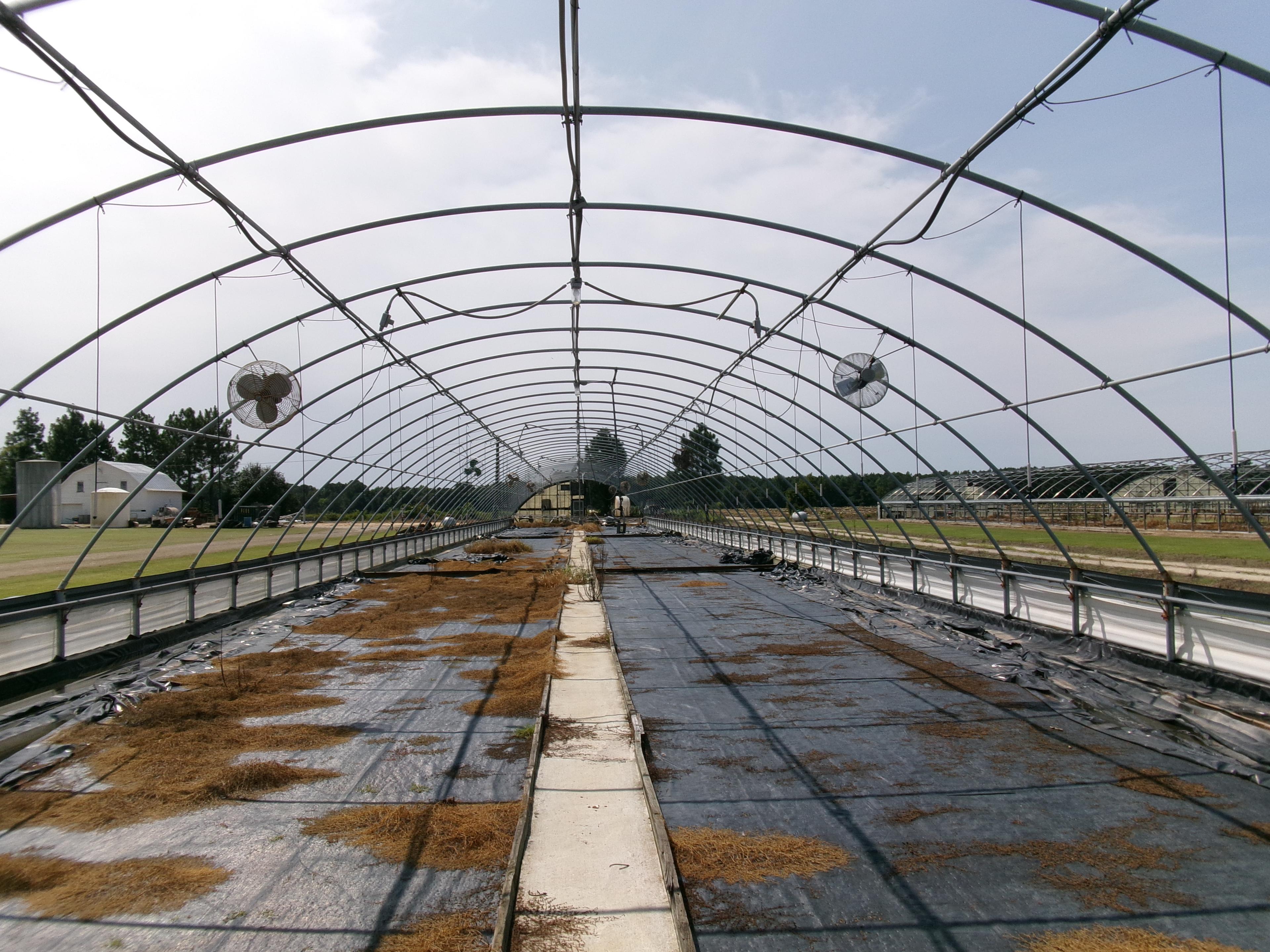 300' X 36' CAROLINA GREENHOUSE WITH HEATERS, FANS, AND A MOWER BOOM