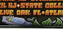Furthur Ziggy Marley Poster 2000