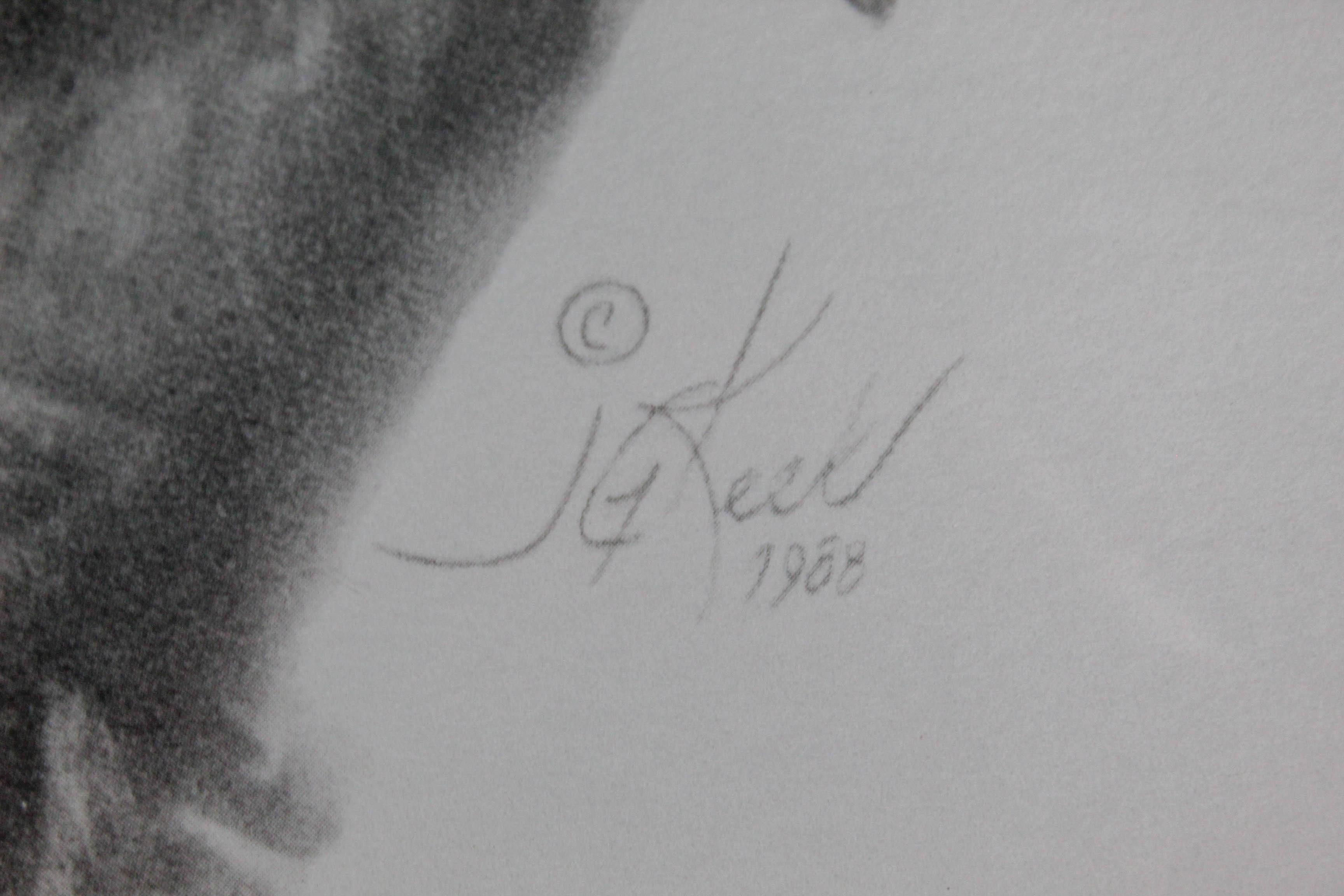 1988 Signed Limited Edition Print of Adolf Galland