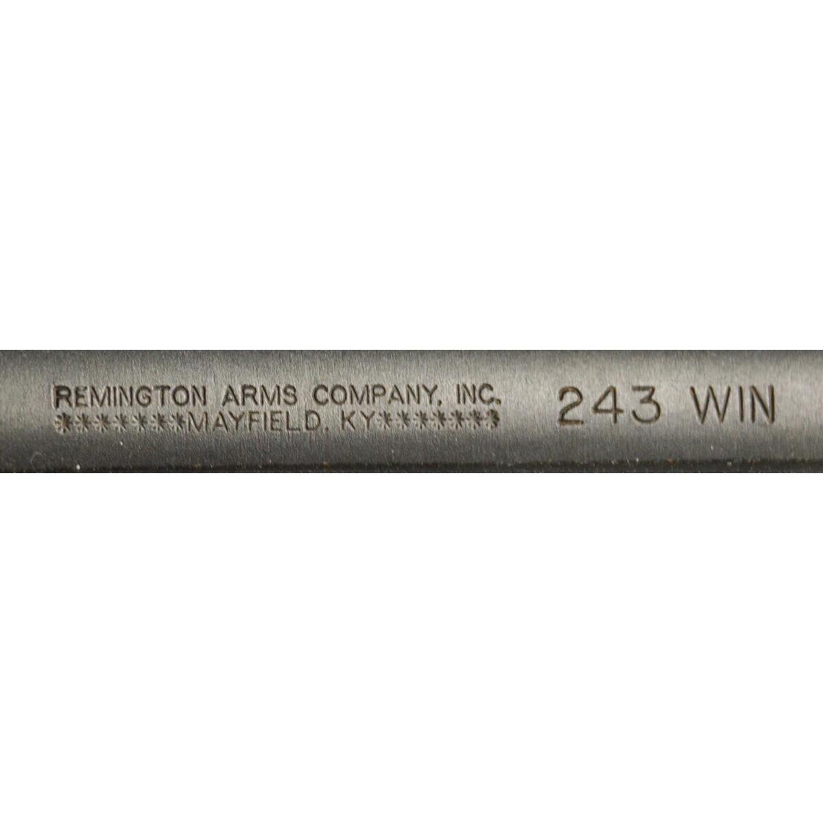 Remington Model 770 .243 Win