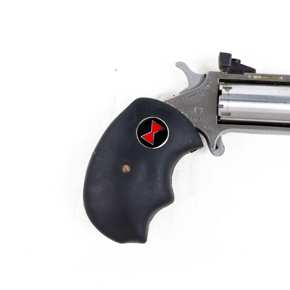 NAA Black Widow 22mag 2" Revolver R34119