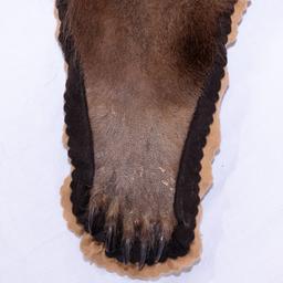 Kodiak Bear Rug Taxidermy