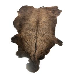 Winter American Buffalo Hide Throw/Blanket