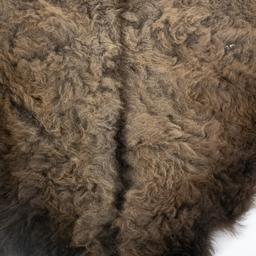 Winter American Buffalo Hide Throw/Blanket