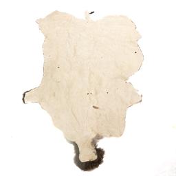 Winter American Buffalo Hide Throw/Blanket