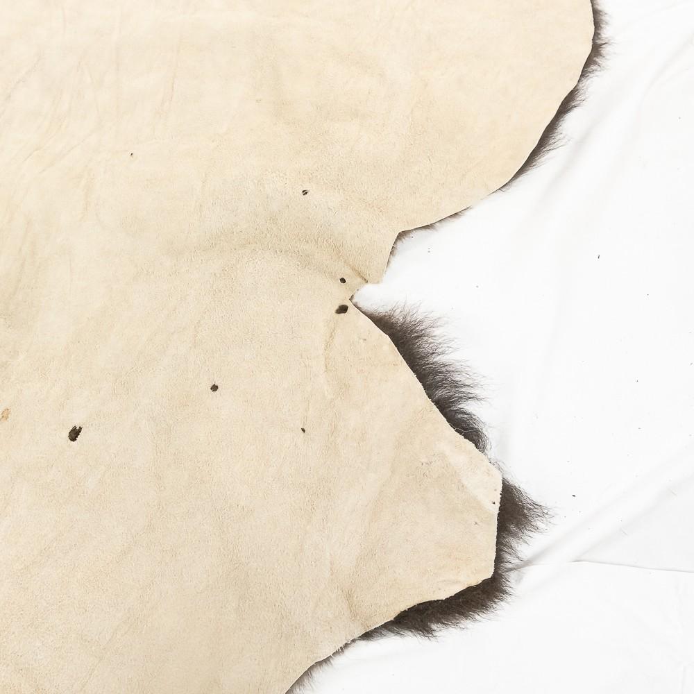 Winter American Buffalo Hide Throw/Blanket