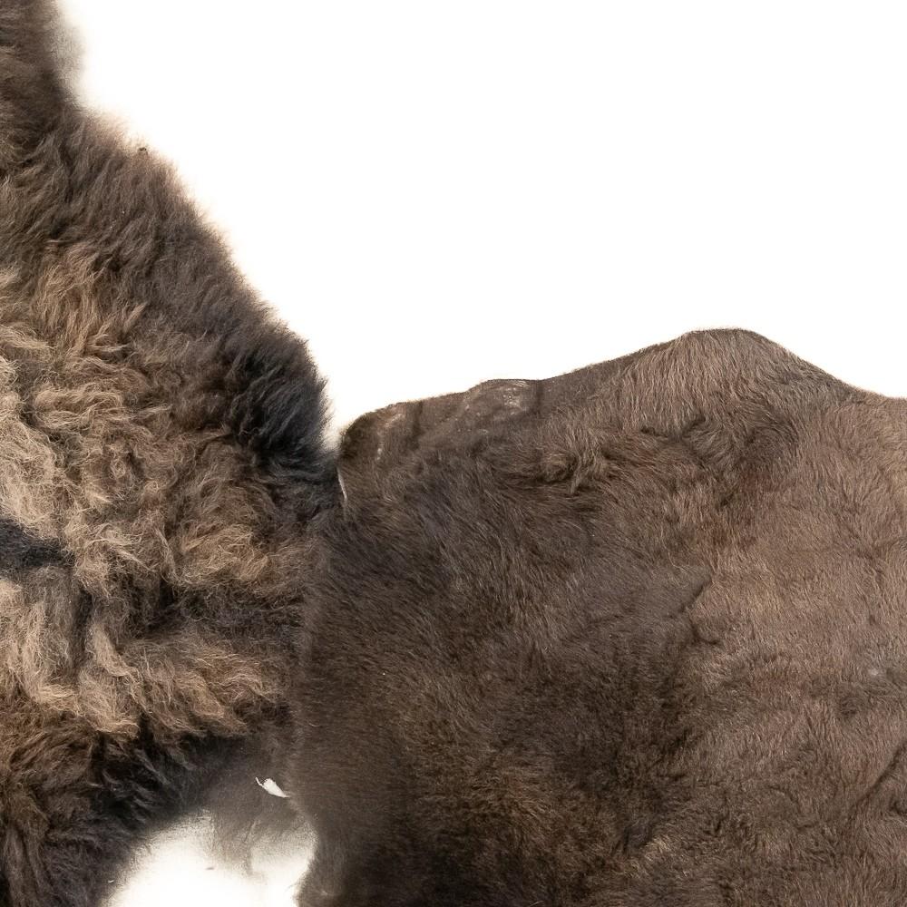 Winter American Buffalo Hide Throw/Blanket