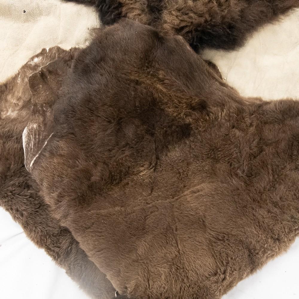 Winter American Buffalo Hide Throw/Blanket
