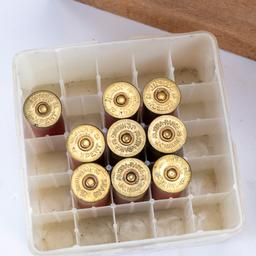 150+ Paper Shotgun shells 12+16ga