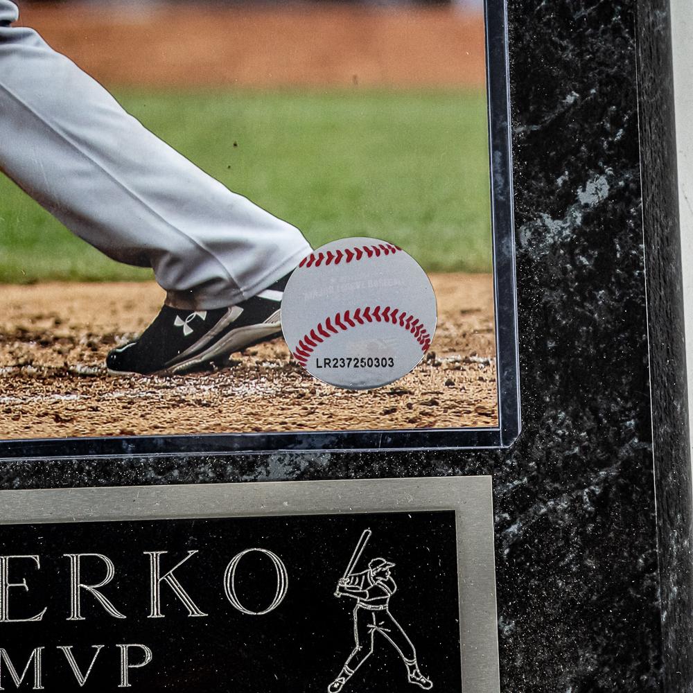 Chicago White Sox Framed & Print Memorabilia