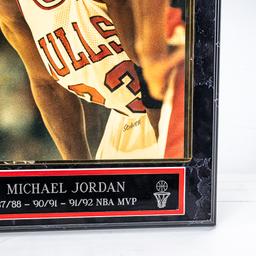 Michael Jordan Autographed 92 Finals Schuth Photo