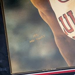 Michael Jordan Autographed 92 Finals Schuth Photo