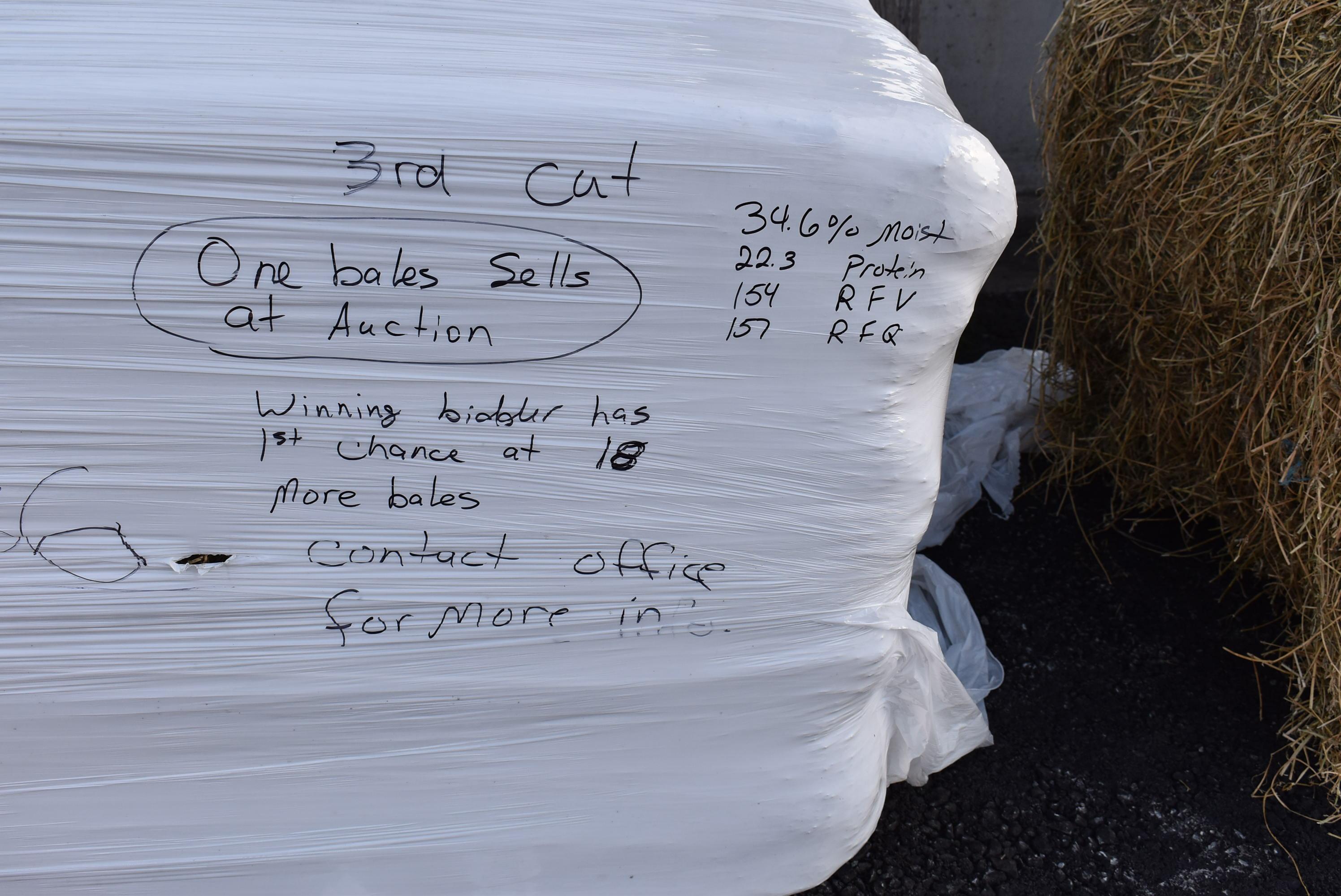 Bale of 3rd Cut
