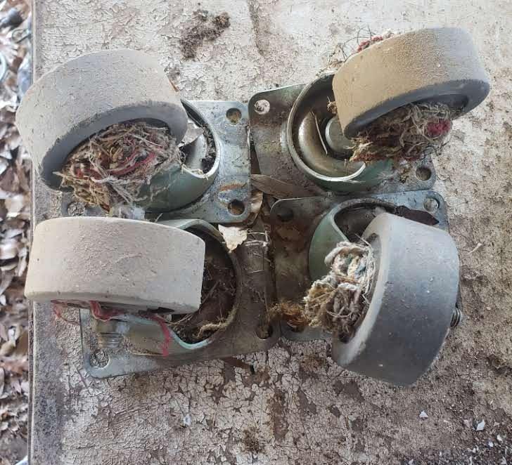Lot of 4 Medium Casters