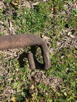 Unique Primitive Forged Single Tree