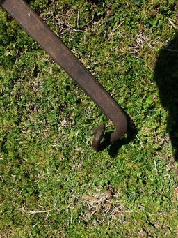 Unique Primitive Forged Single Tree
