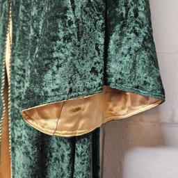 Green Velvet with Gold Accents Medieval Renaissance Costume with Gold Dress