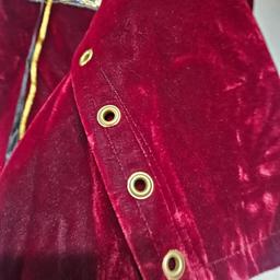 Velvet Renaissance Style Costume