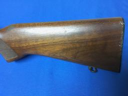 Ruger Rifle