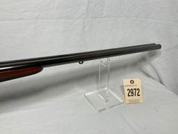 Fusil Robust Shotgun