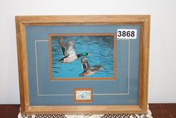 Duck photo with stamp