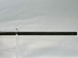 Action Arms/IMI Rifle