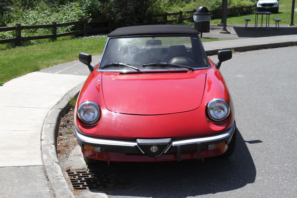 1986 Alfa Romeo Spider - NO RESERVE