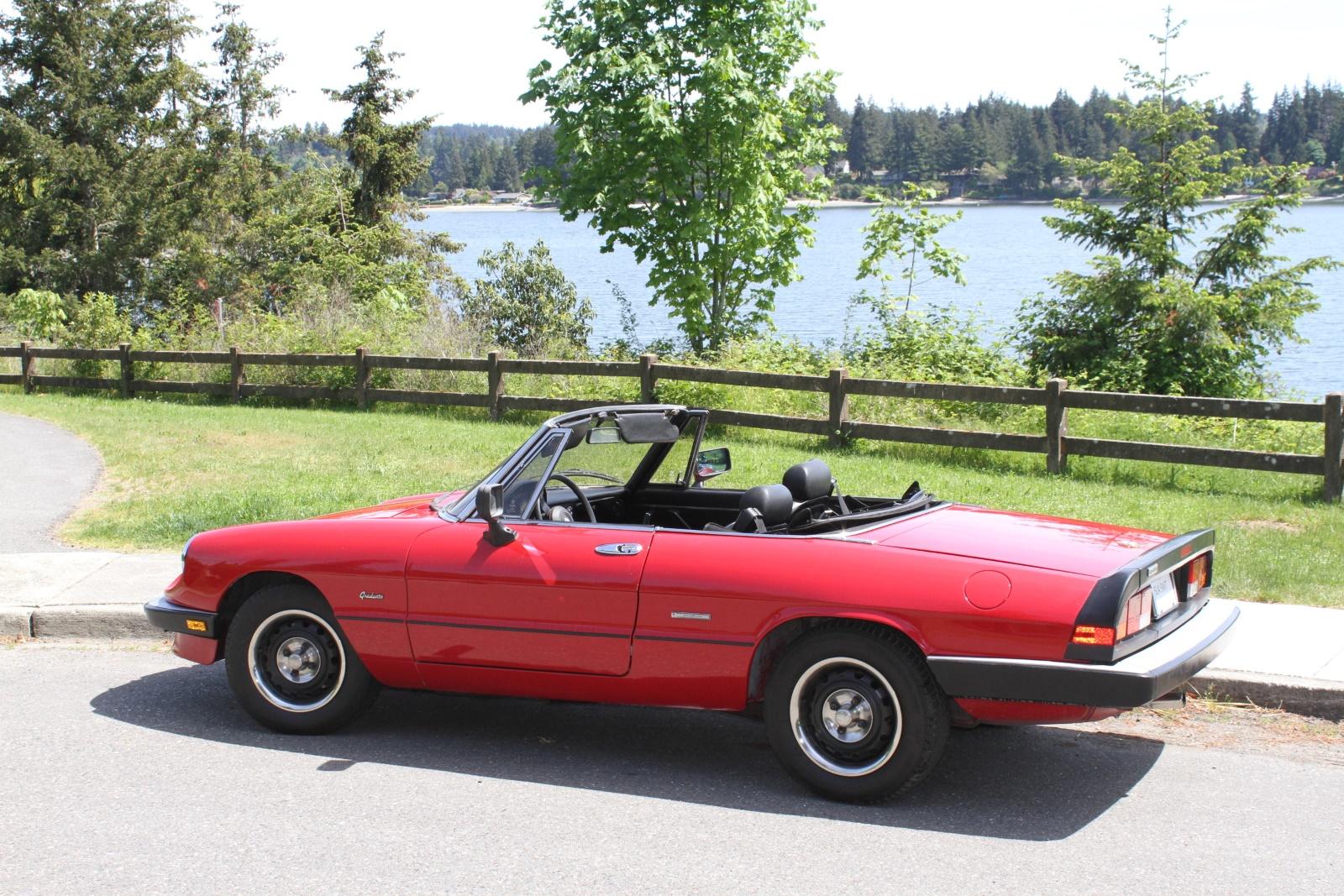 1986 Alfa Romeo Spider - NO RESERVE