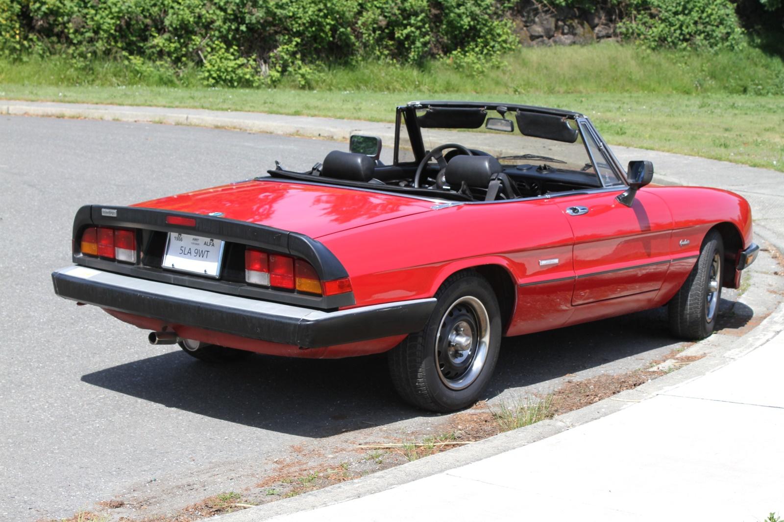 1986 Alfa Romeo Spider - NO RESERVE