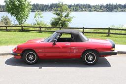 1986 Alfa Romeo Spider - NO RESERVE