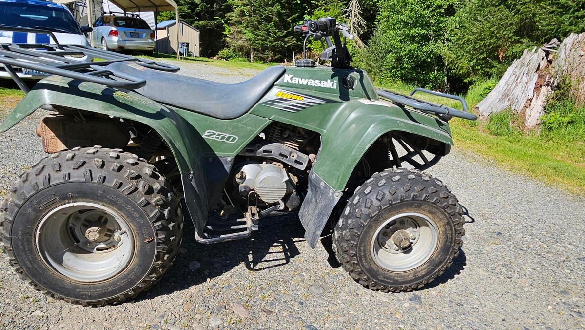 Kawasaki 250 Bayou Quad NO RESERVE