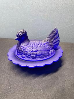 Cobalt blue hen on nest