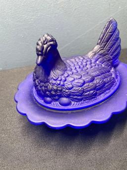 Cobalt blue hen on nest