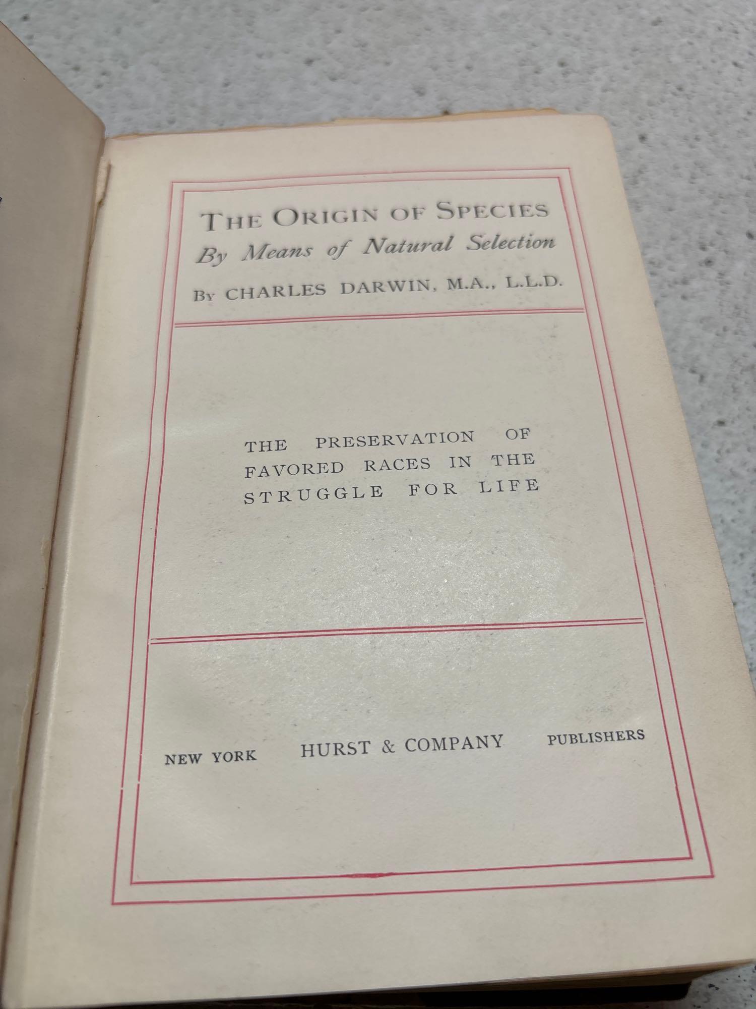 Vintage books
