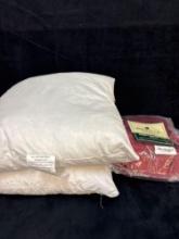New pillow form 16 x 16