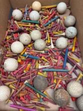 Old golf balls, and wooden tees