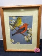 Four framed bird prints