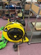 Champion 224 cc gas walk behind Leaf blower, 1300 CM, 160 mph
