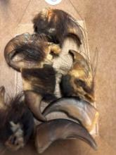 Black bear claws one mounted fur hanging