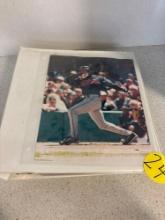 Baseball sports cards