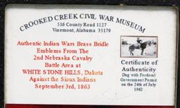 Pair of U.S. Cavalry Bridle Rosettes, Indian Wars Era
