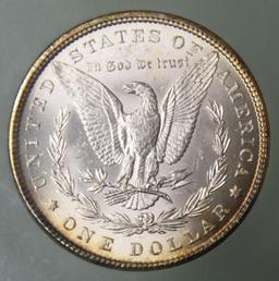 1882 Morgan Dollar Slabbed NTC MS66