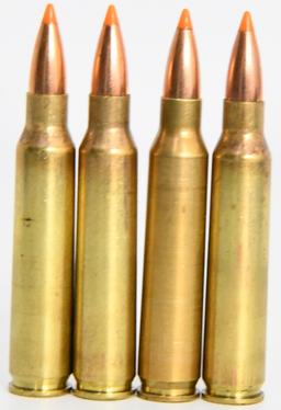 99 Rounds of Remanufactured .223 Rem Ammunition