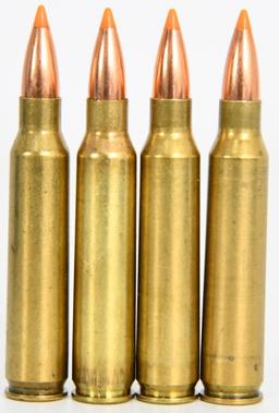 100 Rounds of Remanufactured .223 Rem Ammunition
