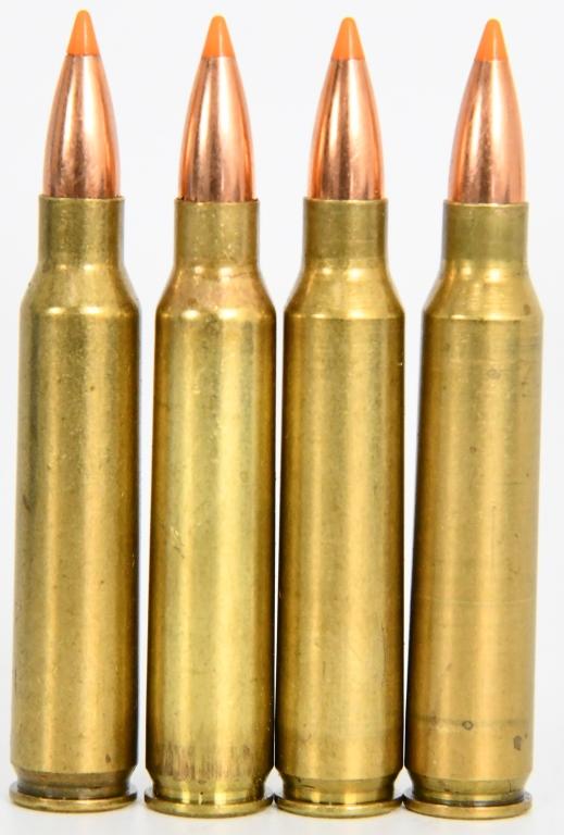 100 Rounds of Remanufactured .223 Rem Ammunition