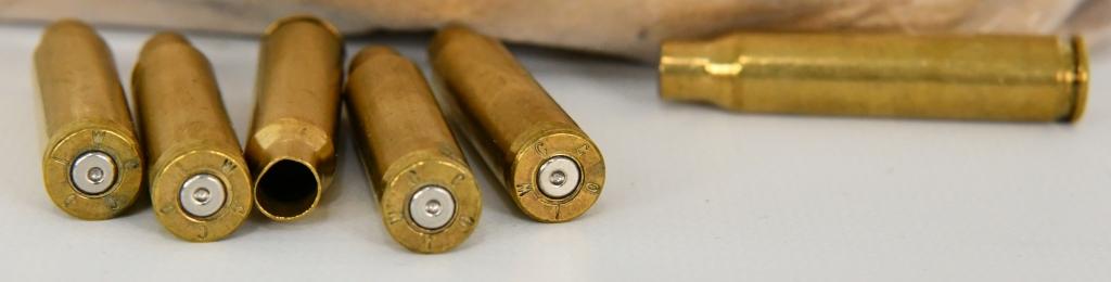 7 Lbs of .223/5.56mm Empty Brass Casings