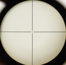 BUSHNELL Sportview wide angle 4x38 Riflescope