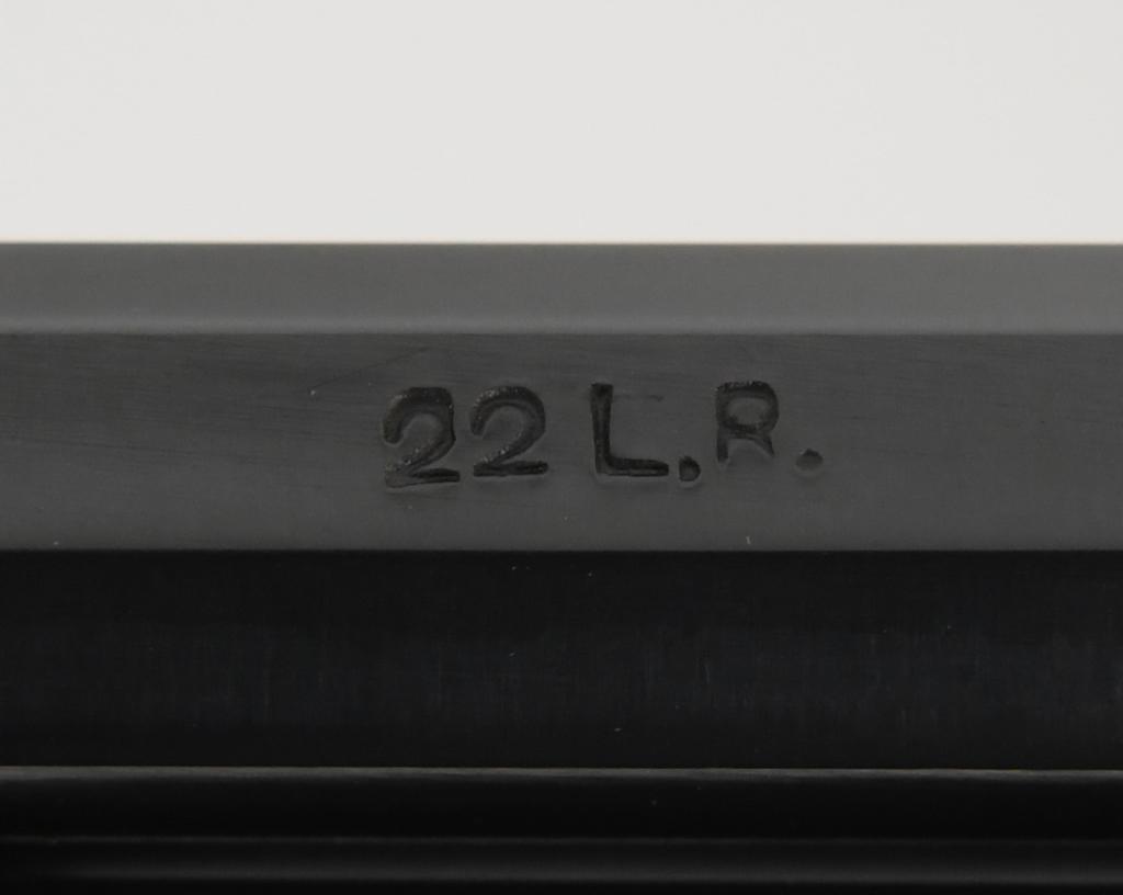 Rossi Interarms Model 62 SA Pump Action .22 LR