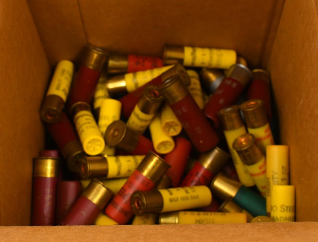 120 Rounds Of Various Plastic Shotshells