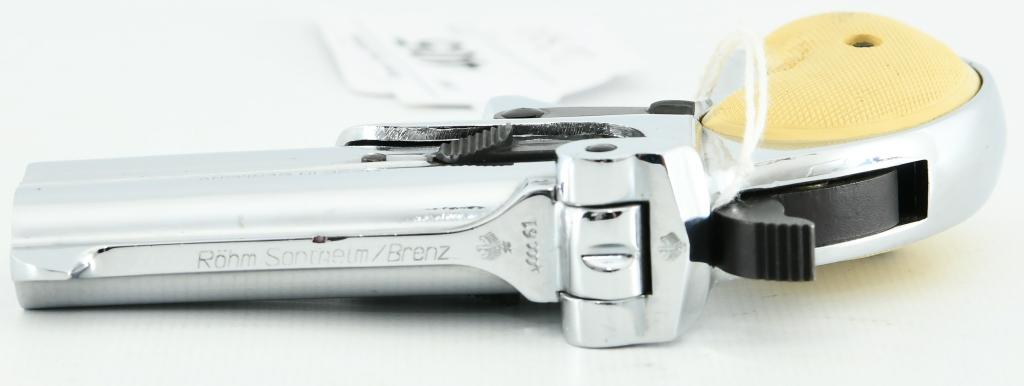 RG-15 Double Barrel Derringer .22 LR
